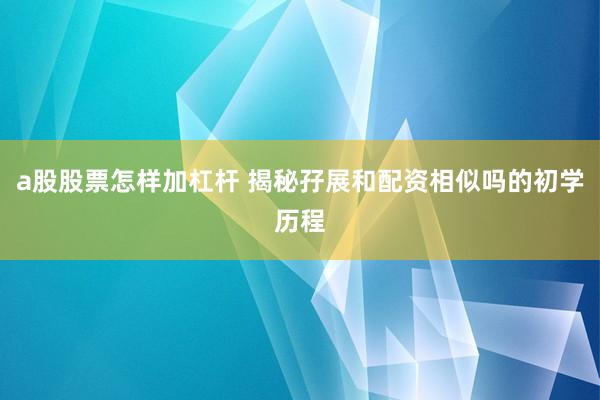 a股股票怎样加杠杆 揭秘孖展和配资相似吗的初学历程