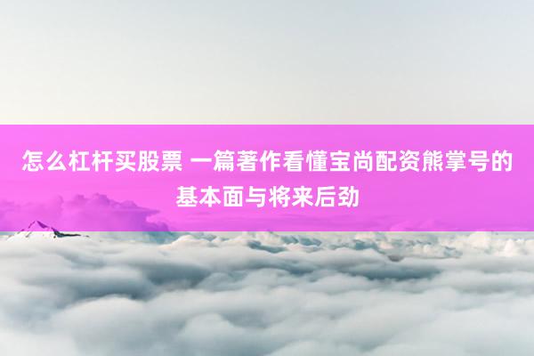 怎么杠杆买股票 一篇著作看懂宝尚配资熊掌号的基本面与将来后劲